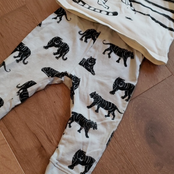 Tiger set - Picture 3 of 3